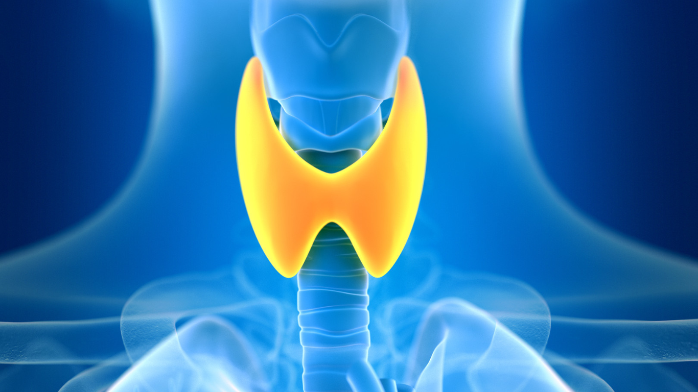 thyroid-dysfunction-treatment-service-dr-matt-le-roux